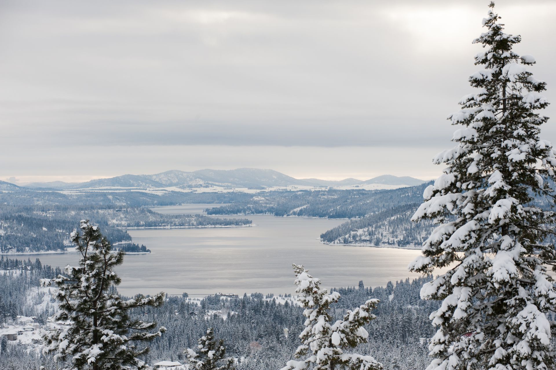 a view of a lake surrounded by snow covered trees