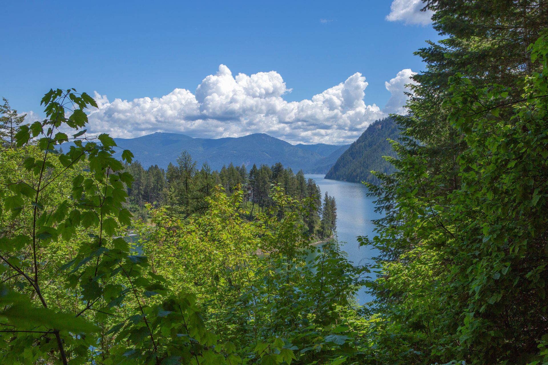 Farragut State Park