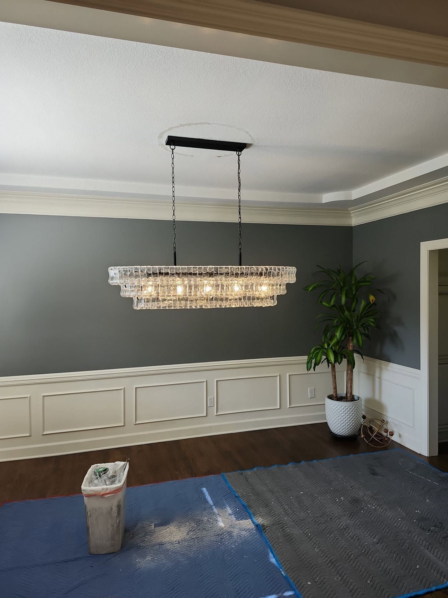 Modern dining room with gray walls, white paneling, crystal chandelier, blue rug, and a potted plant.