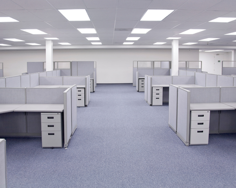 Empty office with rows of gray cubicles and blue carpet under fluorescent ceiling lights