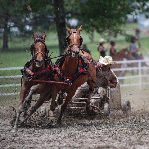 Two horses race through a muddy track, splashing water in a harness race.