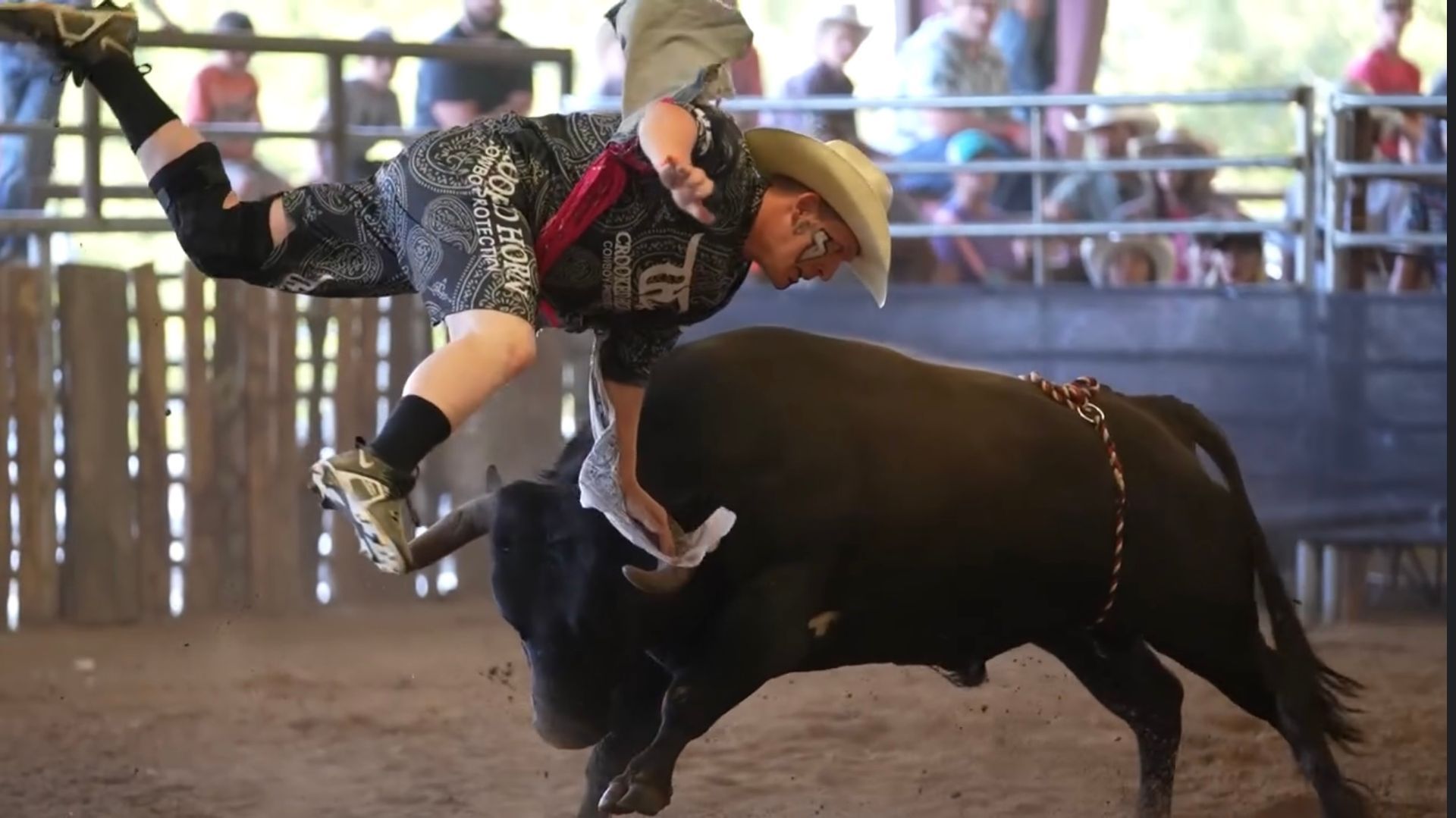 Bull rider in a cowboy hat clings to a bucking black bull in an indoor rodeo arena