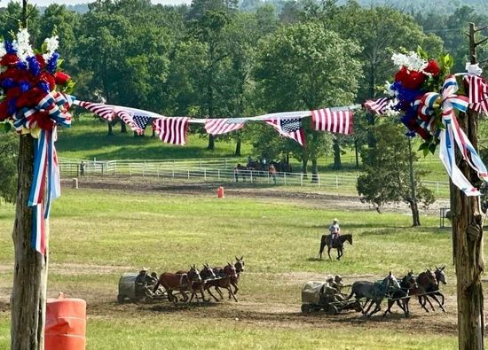 Horse-drawn wagon race on a grassy field, framed by red-white-blue bunting and flags.
