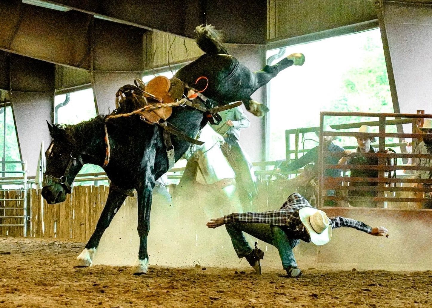 Cowboy thrown from bucking horse in a dusty rodeo arena