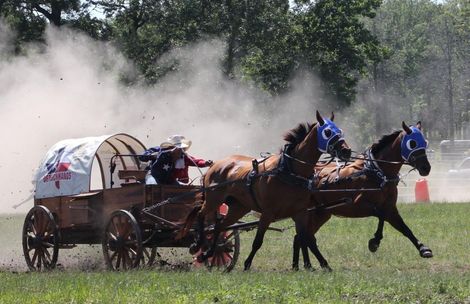 Two horses pulling a covered wagon through dust at a grassy track, with trees in the background