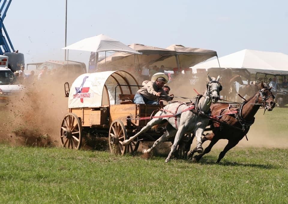 Horse-drawn wagon racing through dust on a grassy field, driver under a white canopy