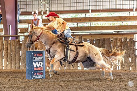 Cowgirl on a bucking horse racing past a barrel in an indoor rodeo arena