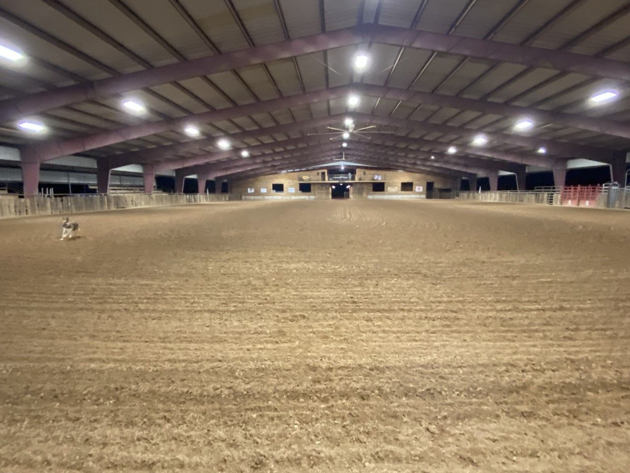 Indoor riding arena with a dirt floor, arched roof, and bright overhead lights