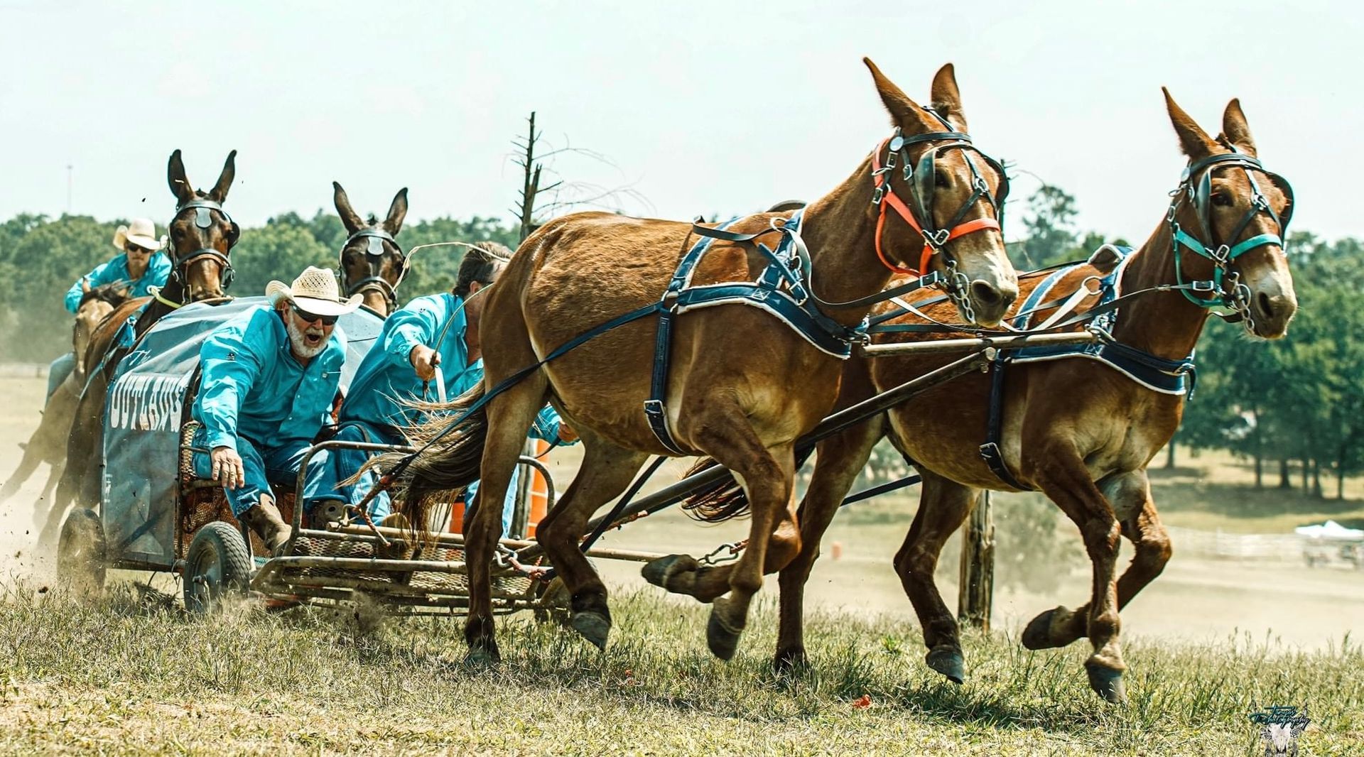 Horse-drawn sulky race on a dirt track, with two brown horses and drivers in blue harnesses kicking up dust.