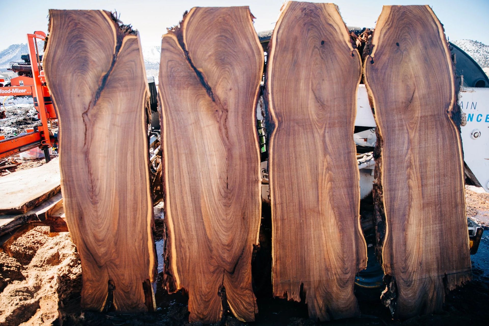 Four large, vertically oriented wood slabs with rich brown grain patterns, likely freshly cut.