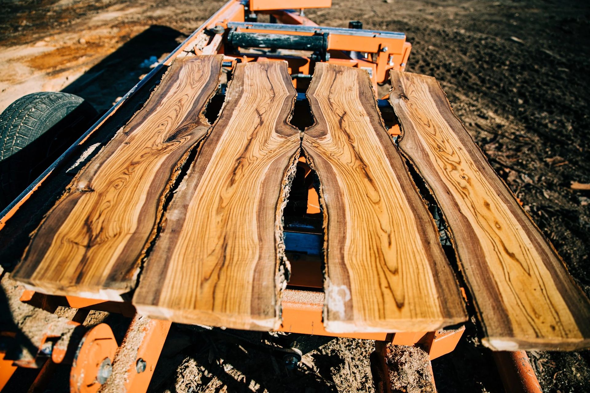 Four wood slabs with unique grain patterns on an orange sawmill.