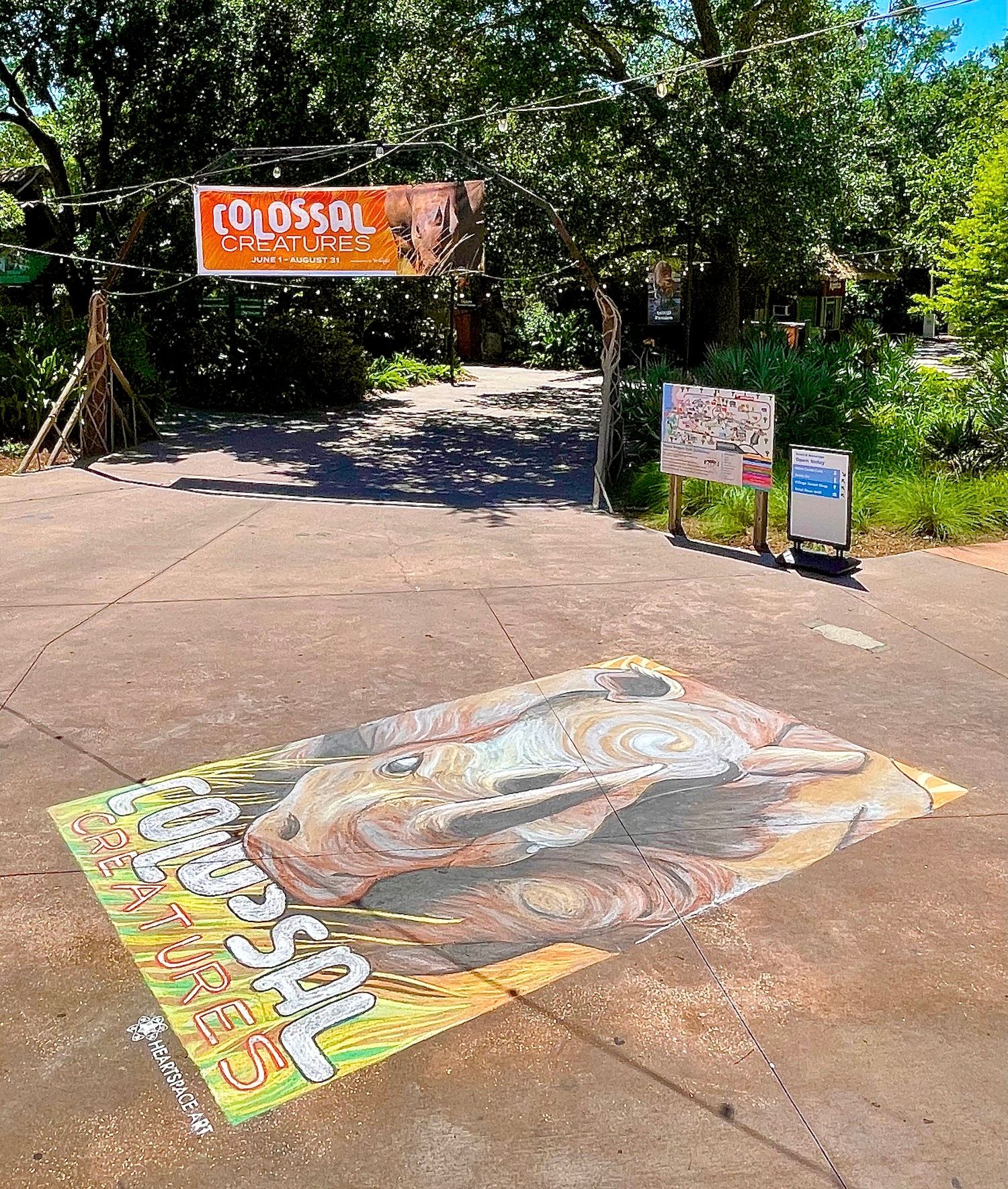 Chalk Mural located at the Jacksonville Florida Zoo. Features colorful Rhino.