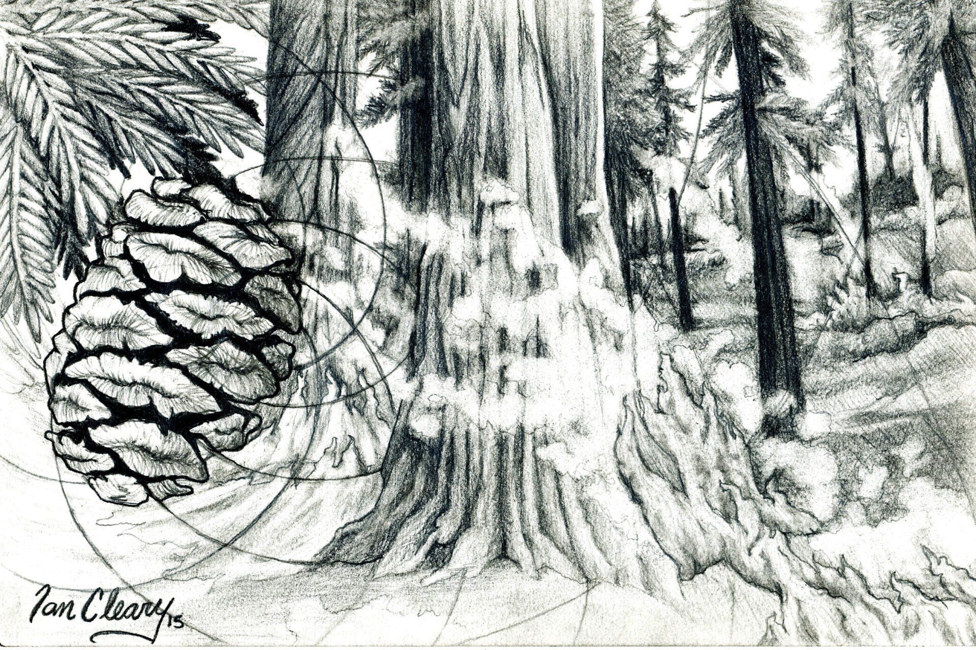 Fires in the West | Jacksonville, FL | Heartspace Art