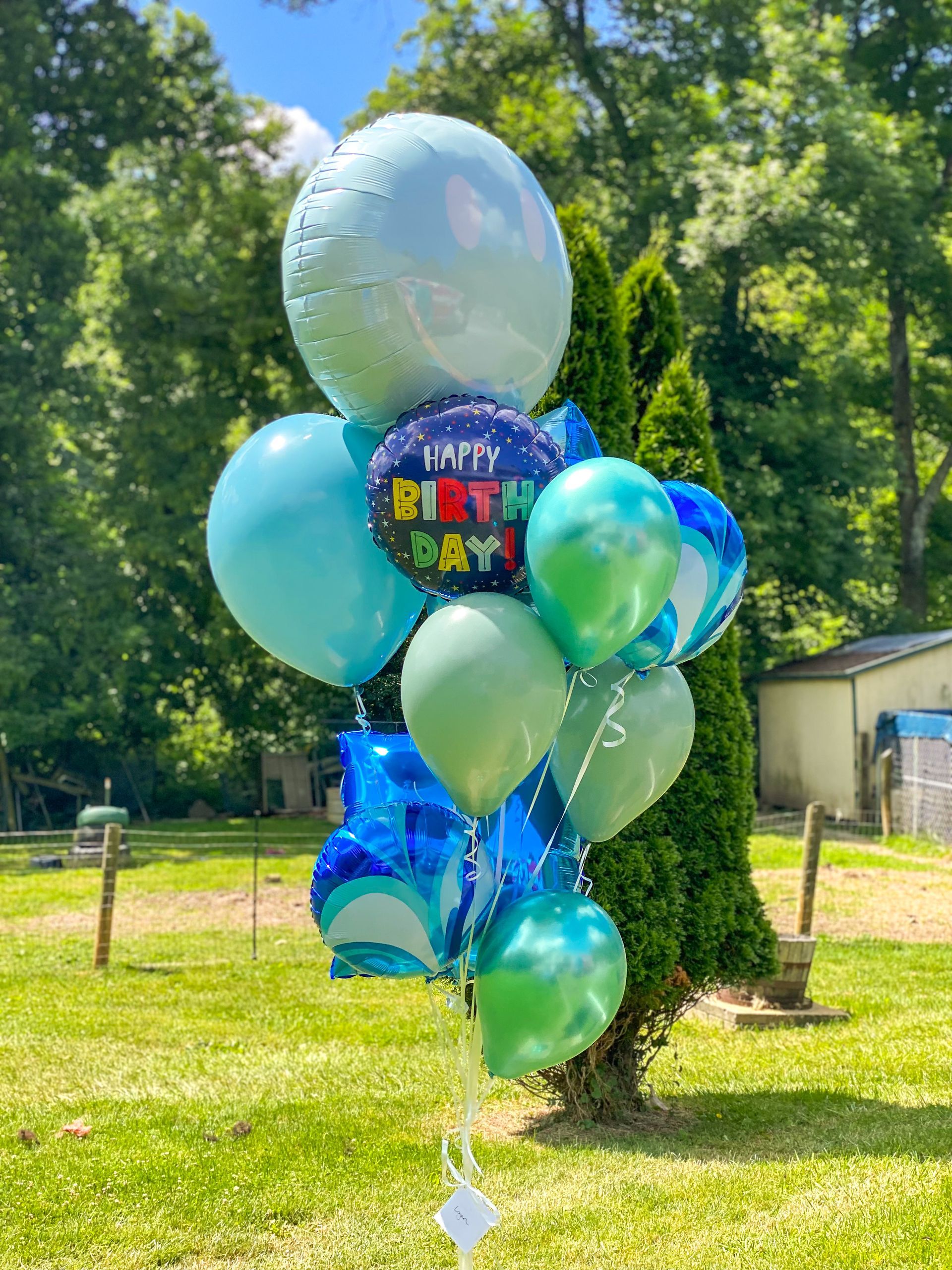 A bunch of balloons are sitting on top of a tree in a yard.