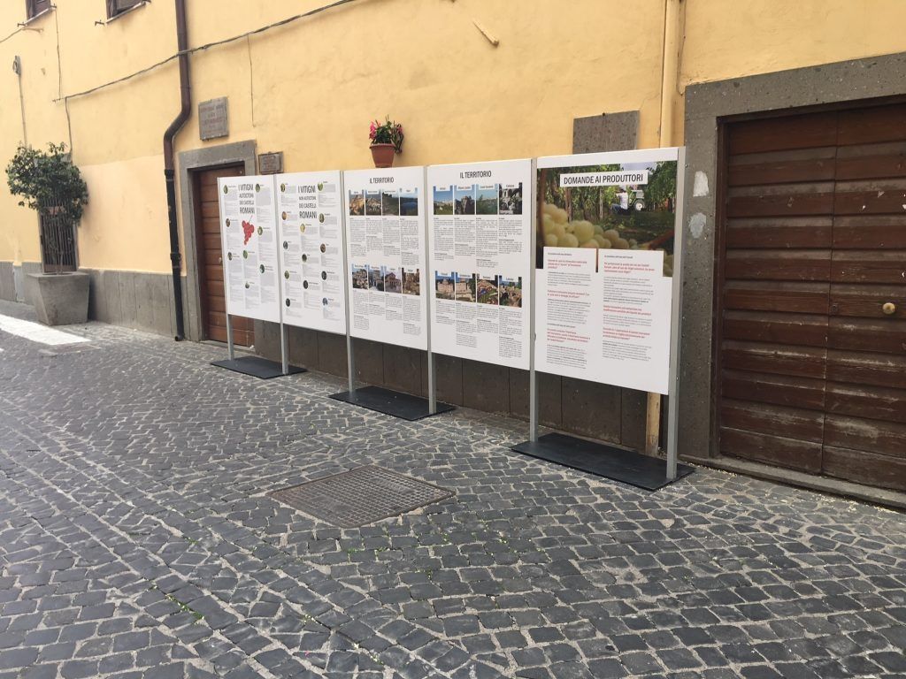 Pannelli espositivi esterni con poster su un muro giallo in una strada acciottolata accanto a una porta di legno.