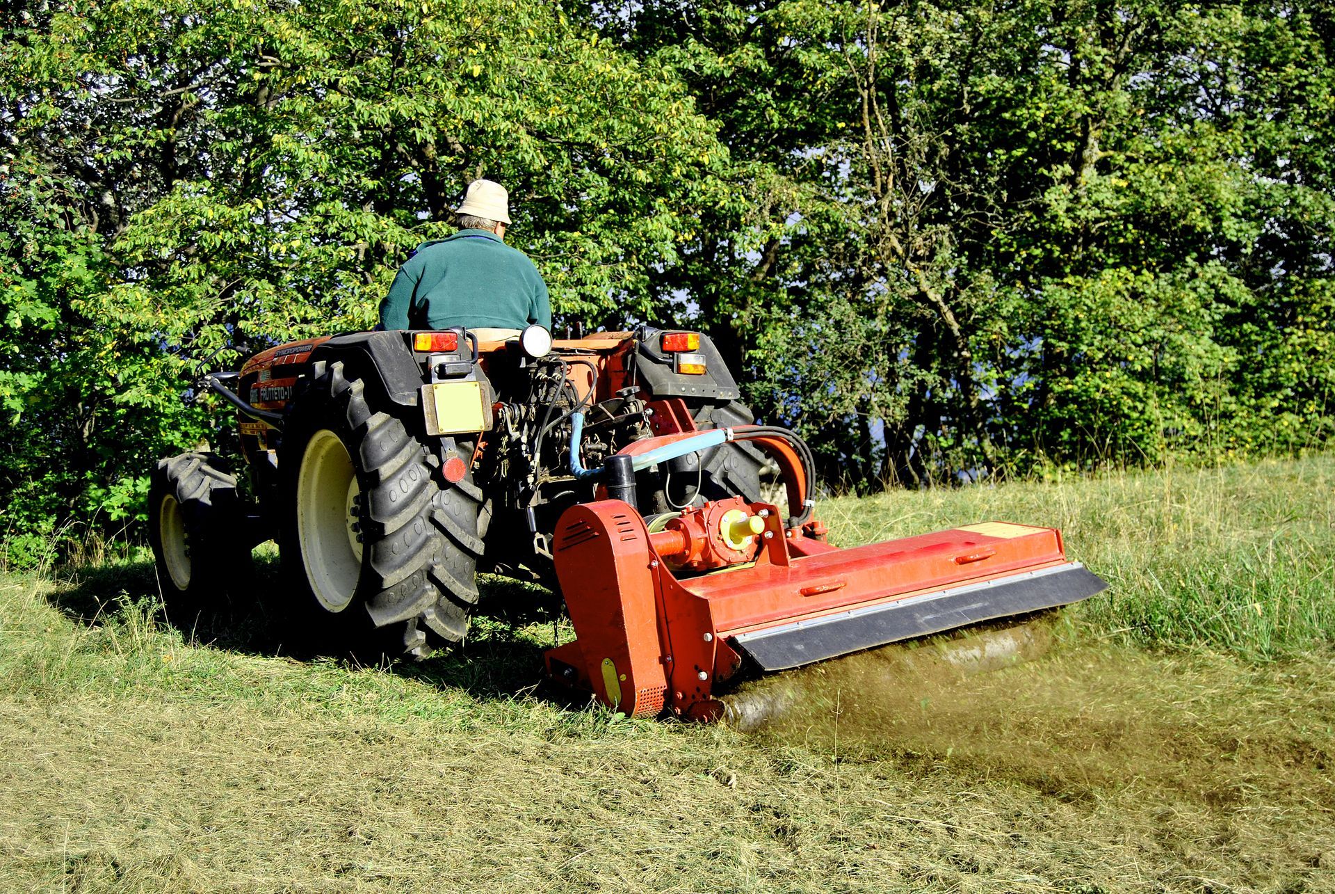 Tractor mowing grass in a field beside dense green trees