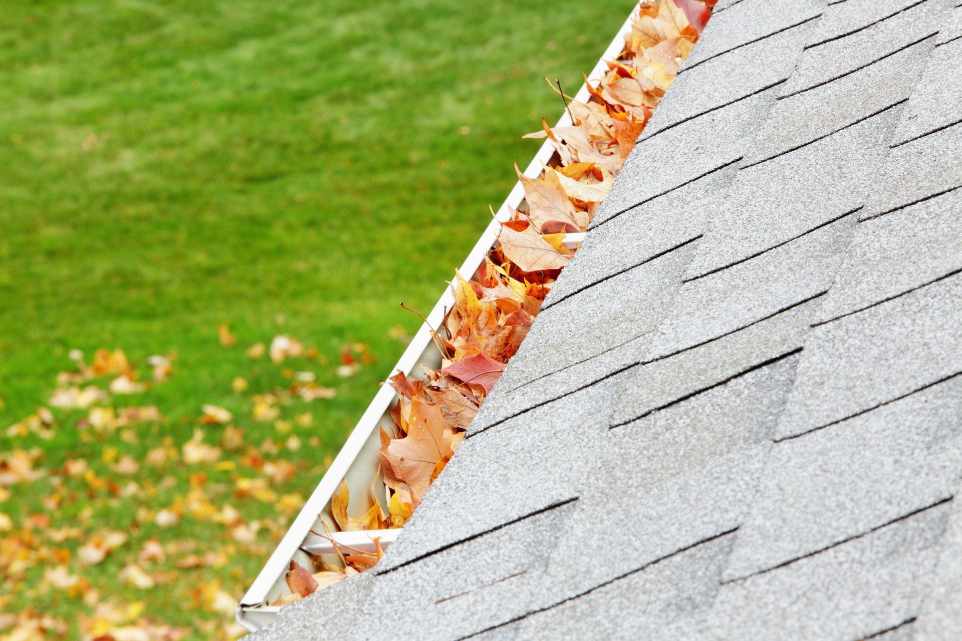 A close up of a gutter on a roof with a brush attached to it.