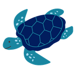 Turtle | Venice, FL | Venice Wash
