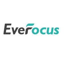 Everfocus logo: Gray text "Ever" with turquoise "Focus," curved accent above "o."