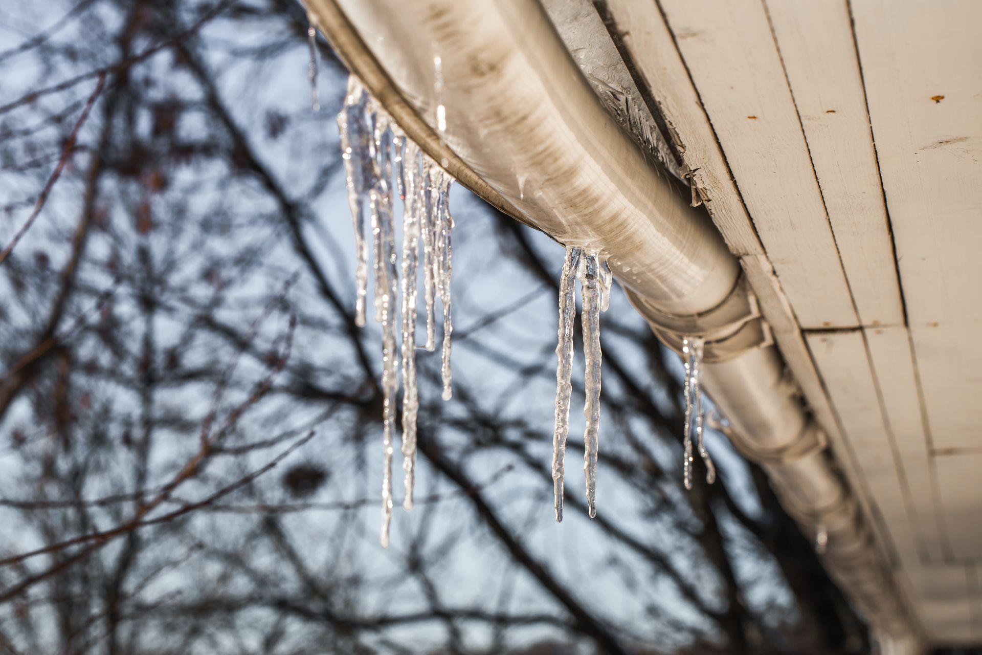 Icicles hanging from a house gutter beside bare winter tree branches