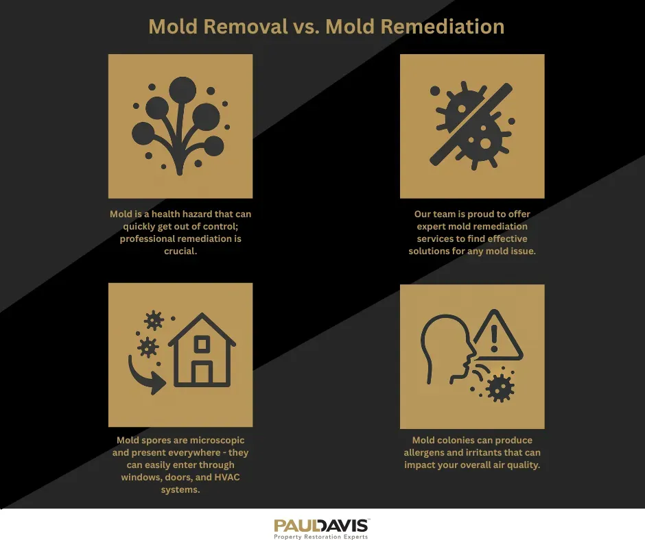 Mold removal vs. remediation graphic with icons and text on gold boxes, black background.