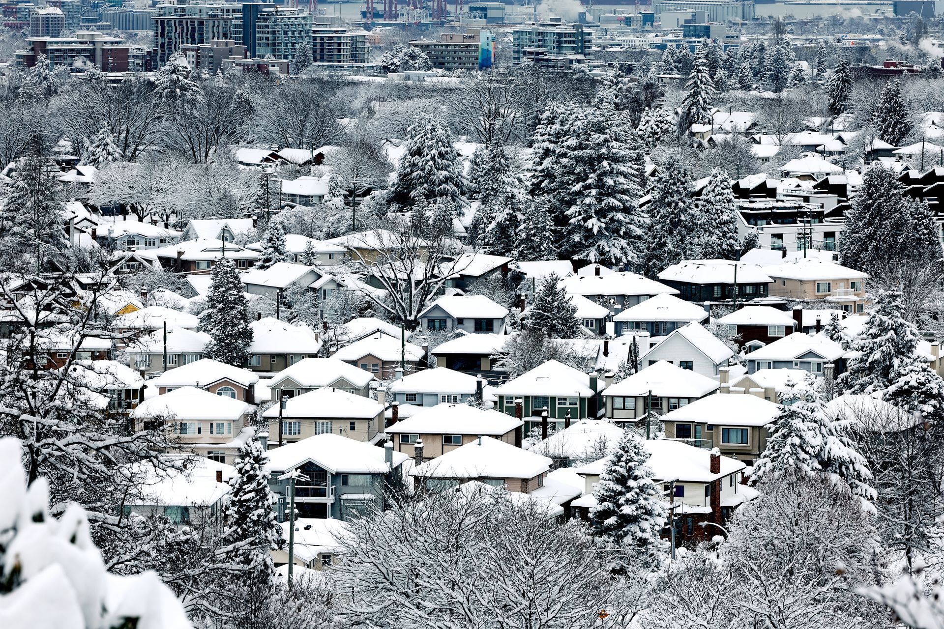 Snow-covered suburban neighborhood with rooftops and trees blanketed in white