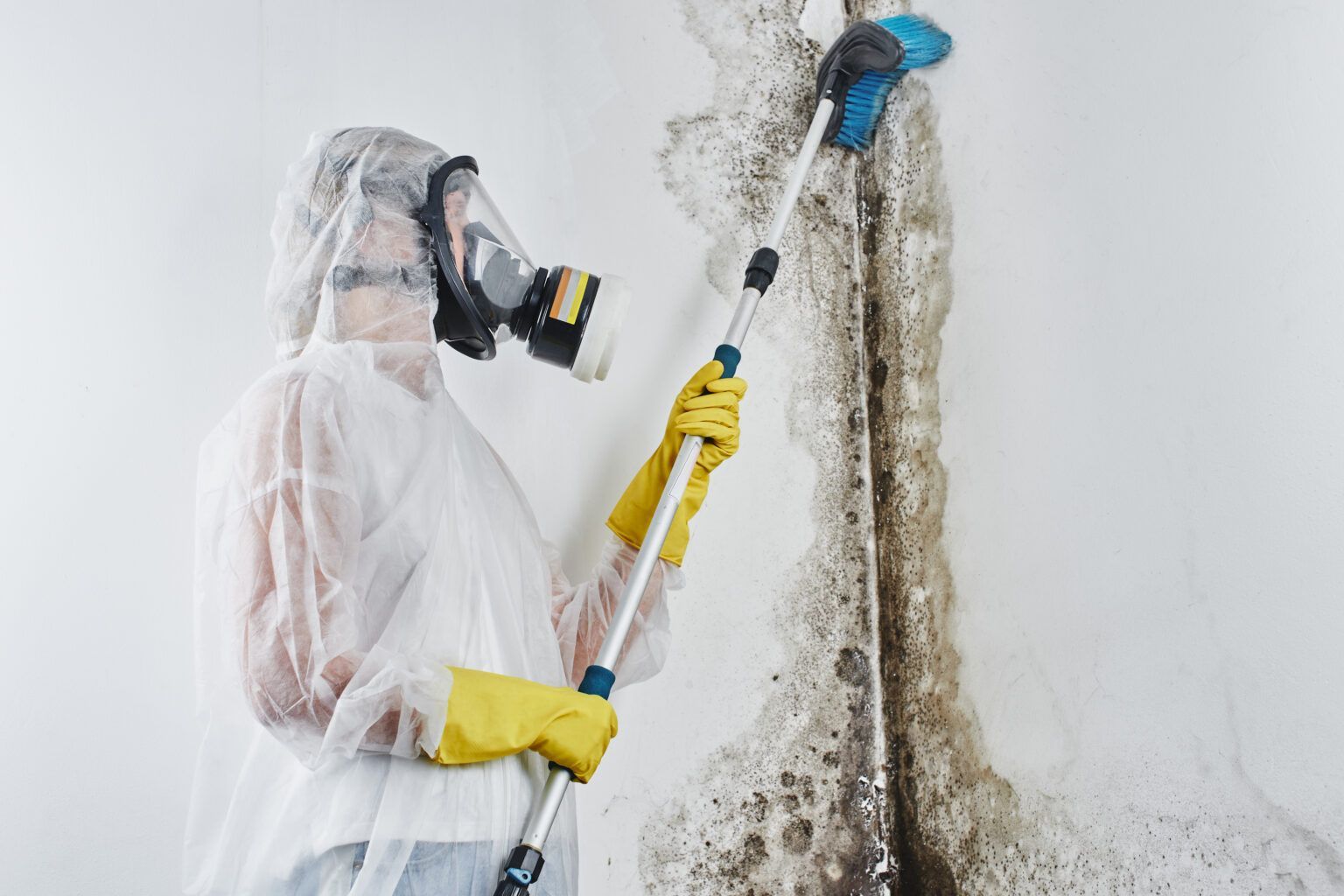 Person in hazmat suit scrubbing a mold-covered wall with a long-handled brush.