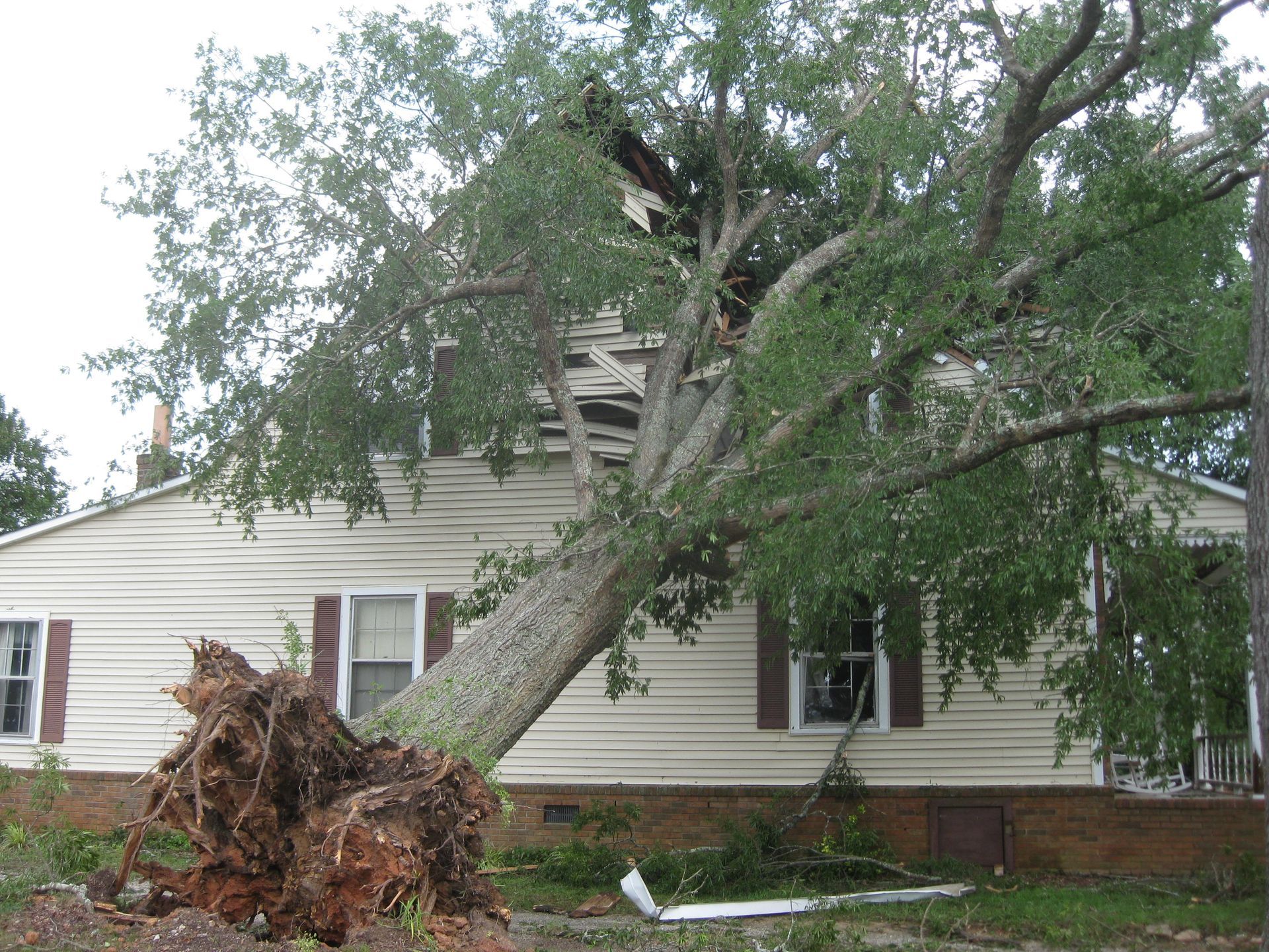 A large tree has fallen and is resting on the roof of a one-story, light-colored house with its roots exposed.