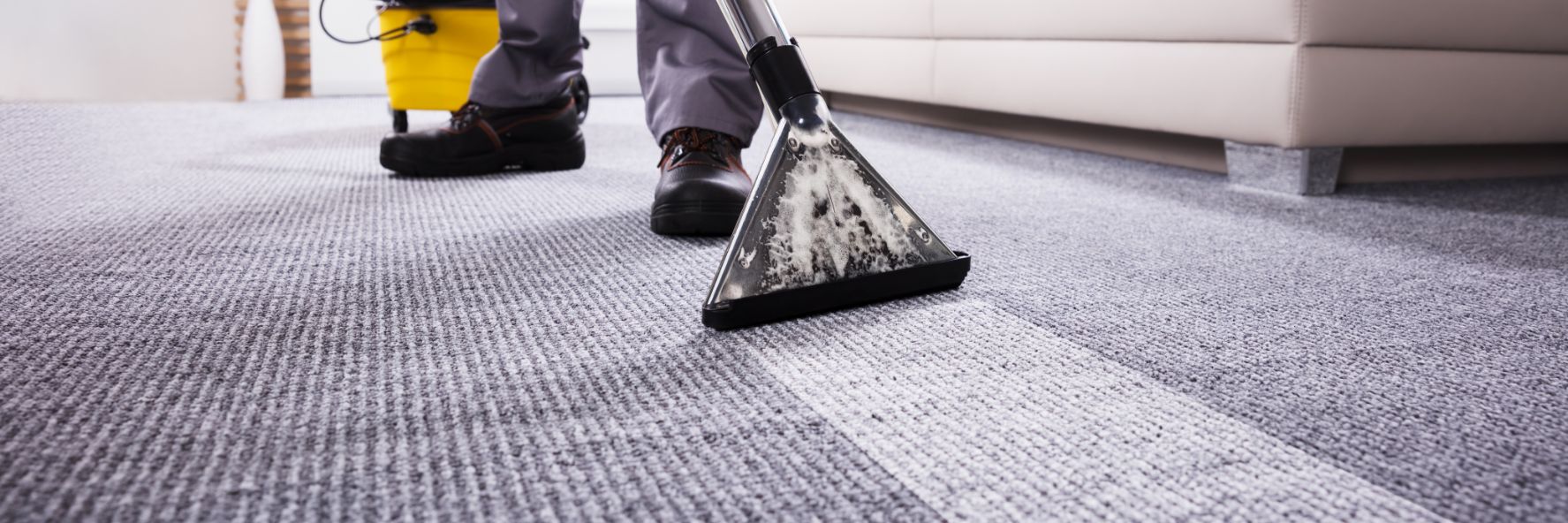 Lindfield’s Big Red Carpet Cleaning & Pest Control Carpet Cleaning on