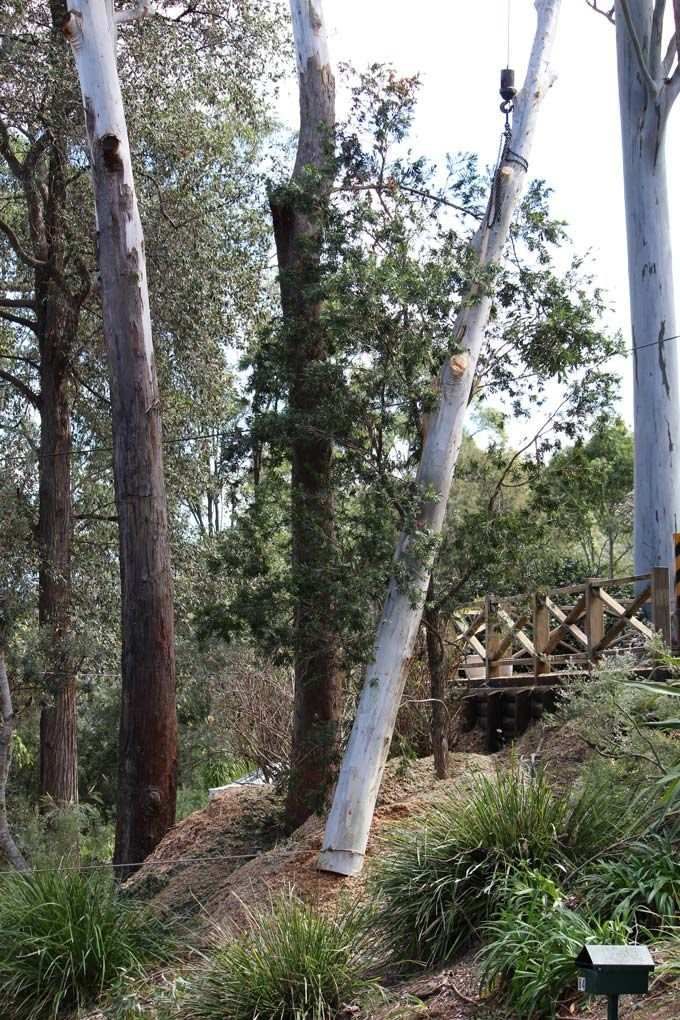 Stump Grinding Process — Hayden Tree Service In Cooranbong, NSW