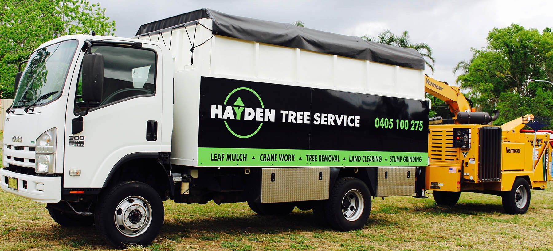Timber Cutter Up In Tree — Arborist on the Central Coast, NSW