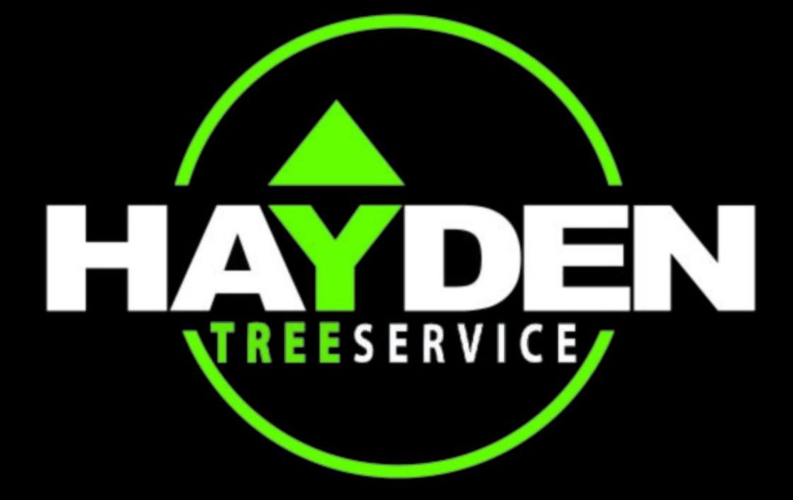 Hayden Tree Service: Certified Arborist on the Central Coast and South Lake Macquarie Hayden Tree Service:
Certified Arborist on the Central Coast and South Lake Macquarie