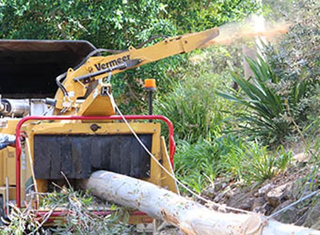 A Vermeer Tree Chipper — Hayden Tree Service In Gosford, NSW