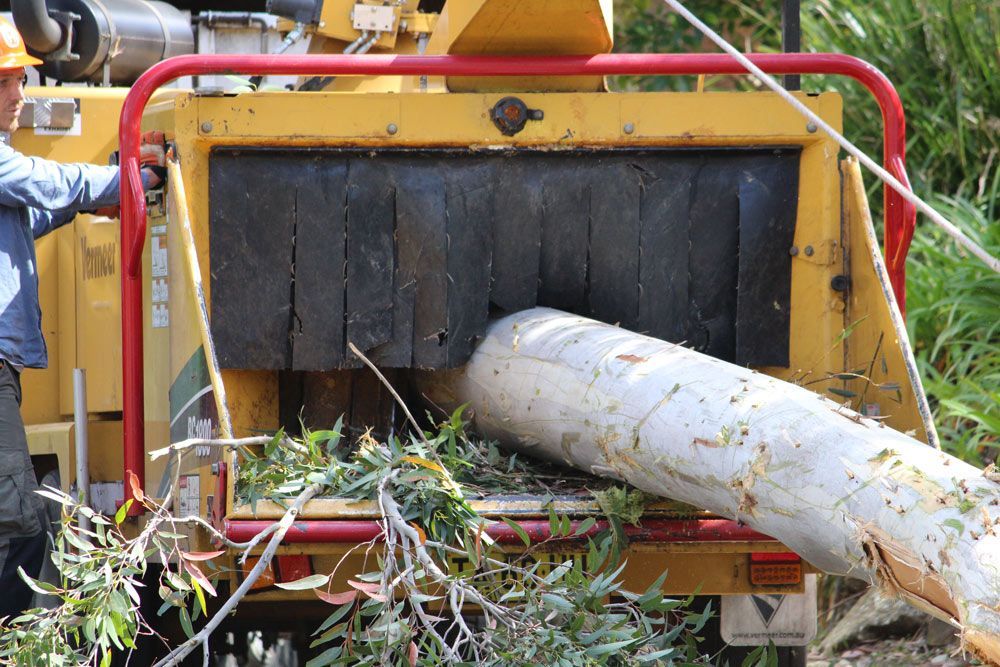 A Man Is Cutting a Tree with A Machine — Hayden Tree Service In Toronto, NSW