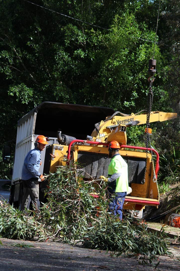 Two Male Arborist Placing Branches into a Working Wood Chipper Machine — Hayden Tree Service In Cooranbong, NSW