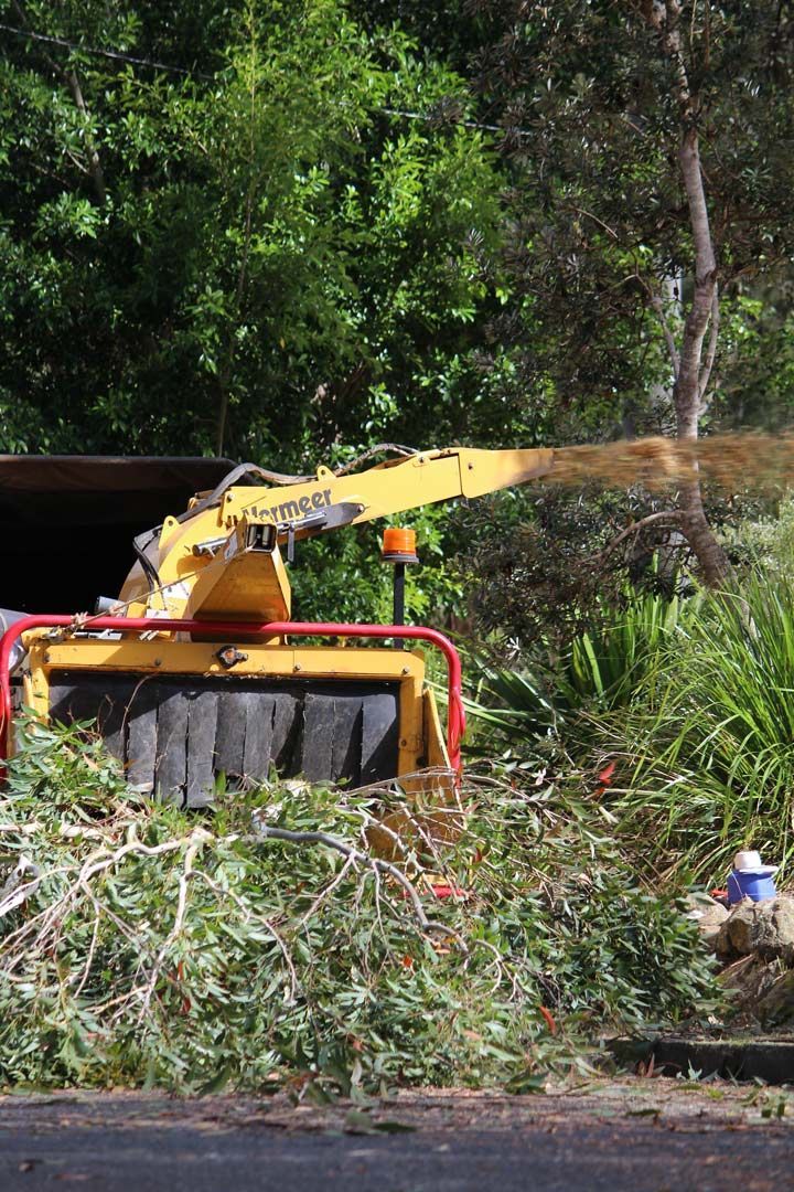 A Yellow and Red Machine Is Cutting Trees — Hayden Tree Service In Cooranbong, NSW