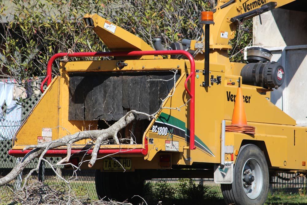 A Tree Chipper with A Tree Branch — Hayden Tree Service In Gosford, NSW