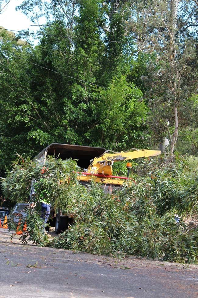 A Truck Is Driving Down a Road Next to A Pile of Trees — Hayden Tree Service In Toronto, NSW