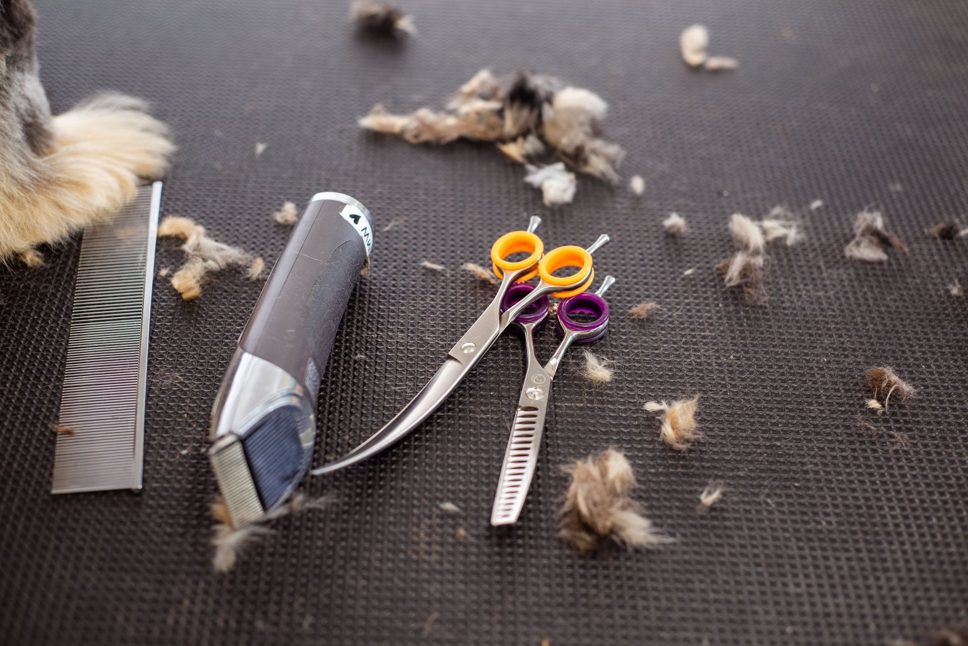 Dog grooming tools with comb, clippers, and scissors on a dark table with fur clippings
