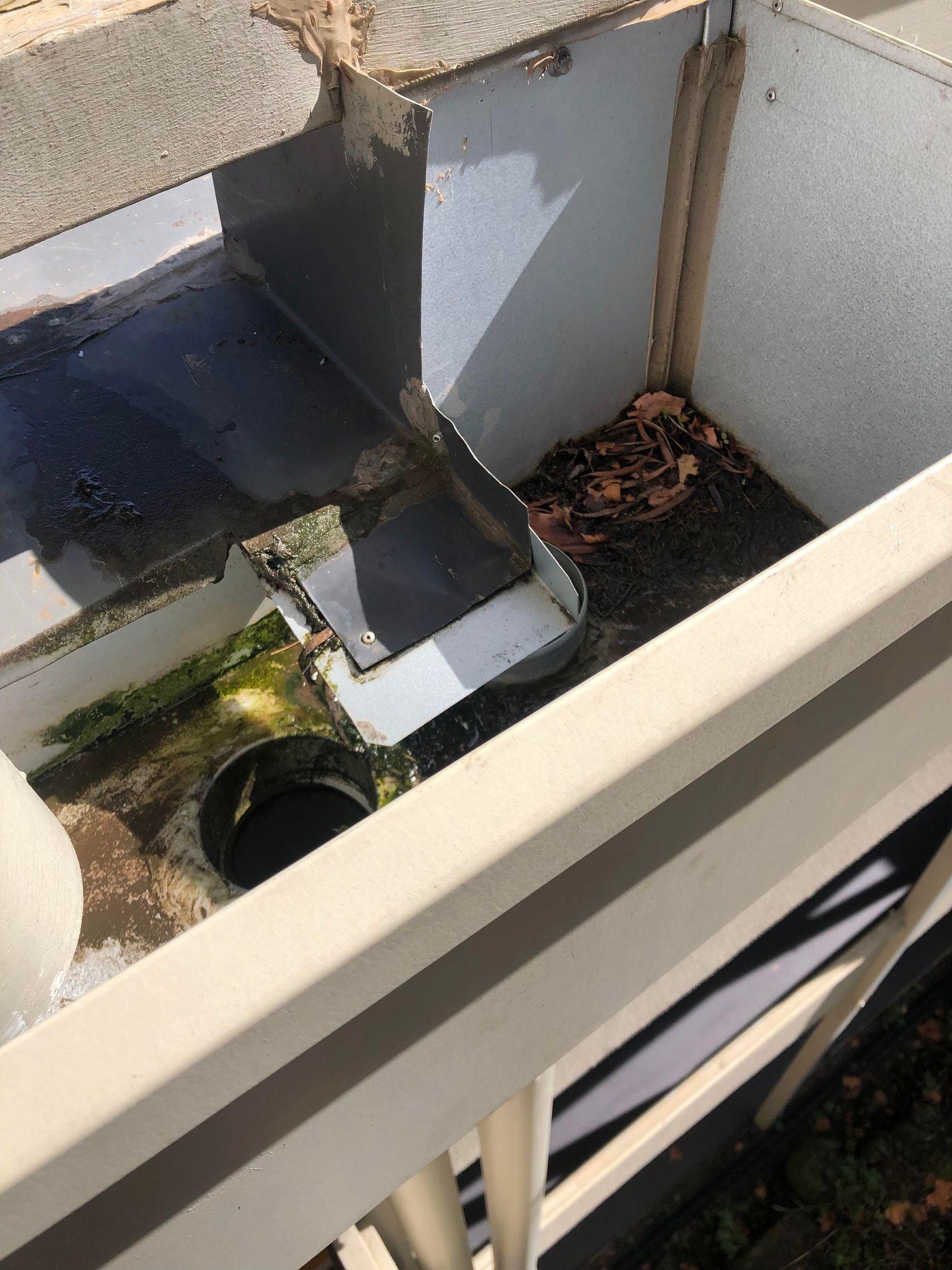 clean mossy box gutter in Bayside