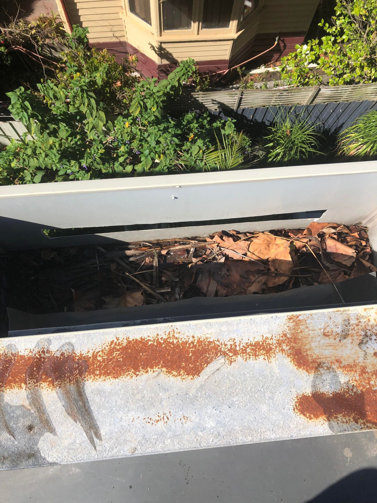 Box gutter full of leaves off the side of the roof about to get cleaned in Hampton