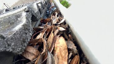 photo of full gutter about to get cleaned by Caddy Bins in Hampton