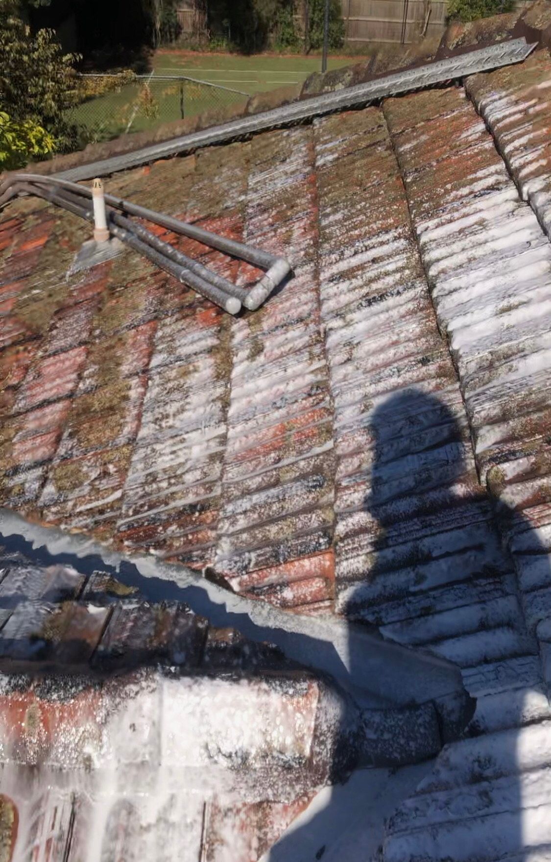 Soft washing a mossy roof