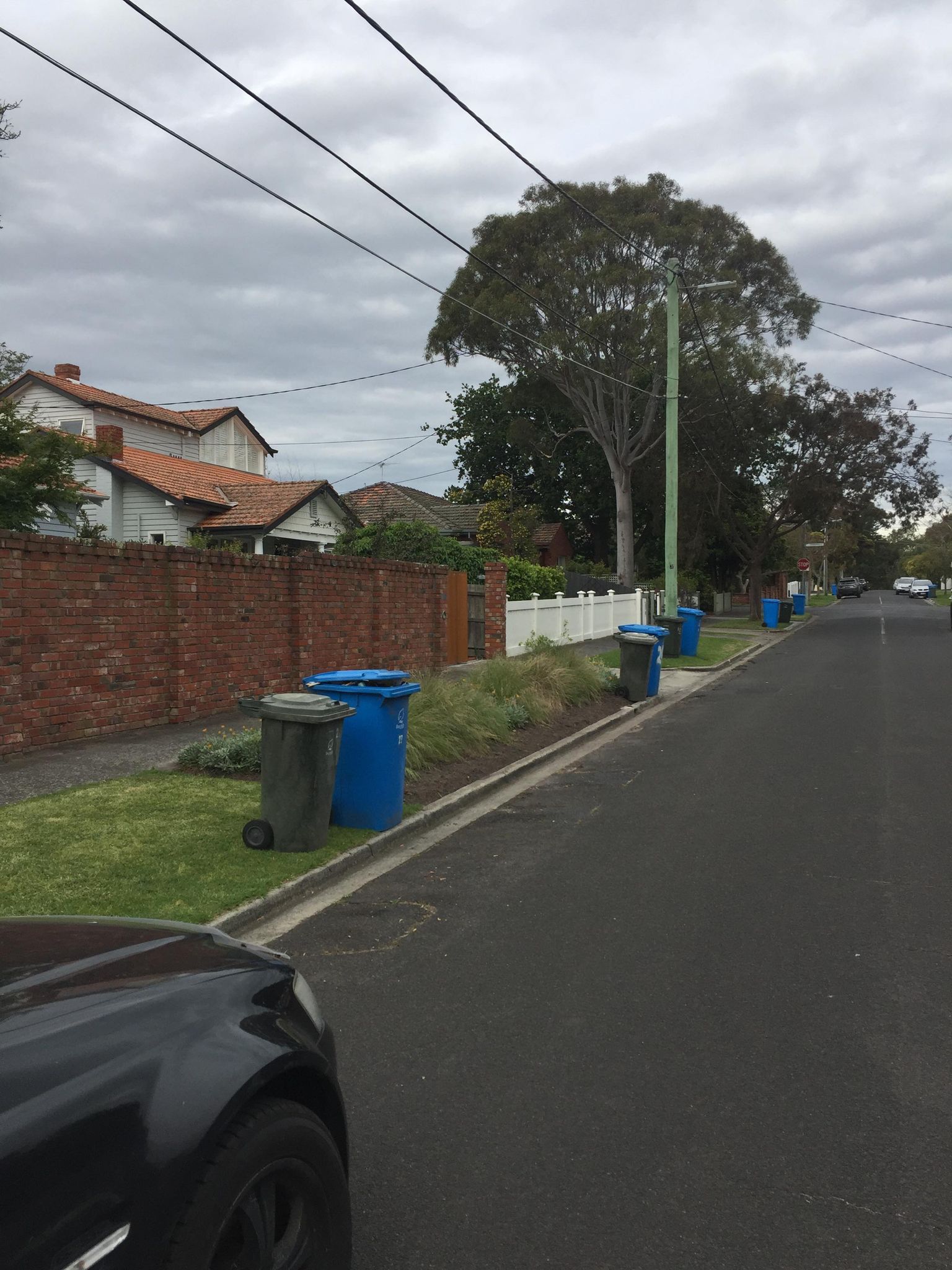 two Bins wheeled out to the curb as part of the bin placement service done by Caddy Bins