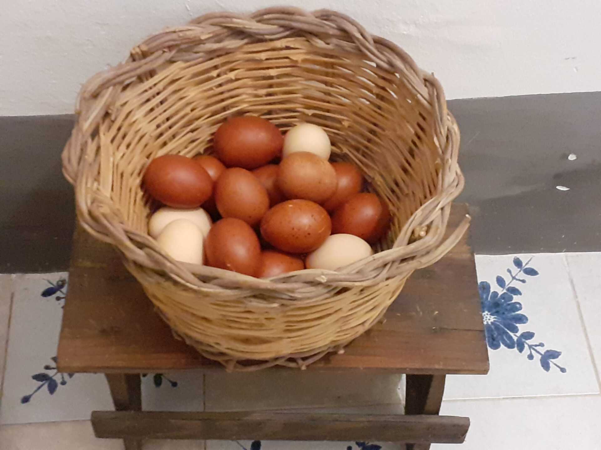 B&B A casa di Paolo colazione breakfast alessano uova fresche
