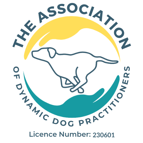 Dynamic Dog Practitioner 