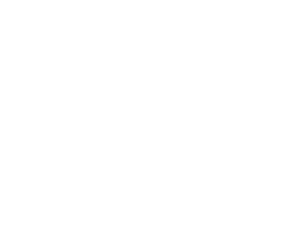 3942 Logo Light