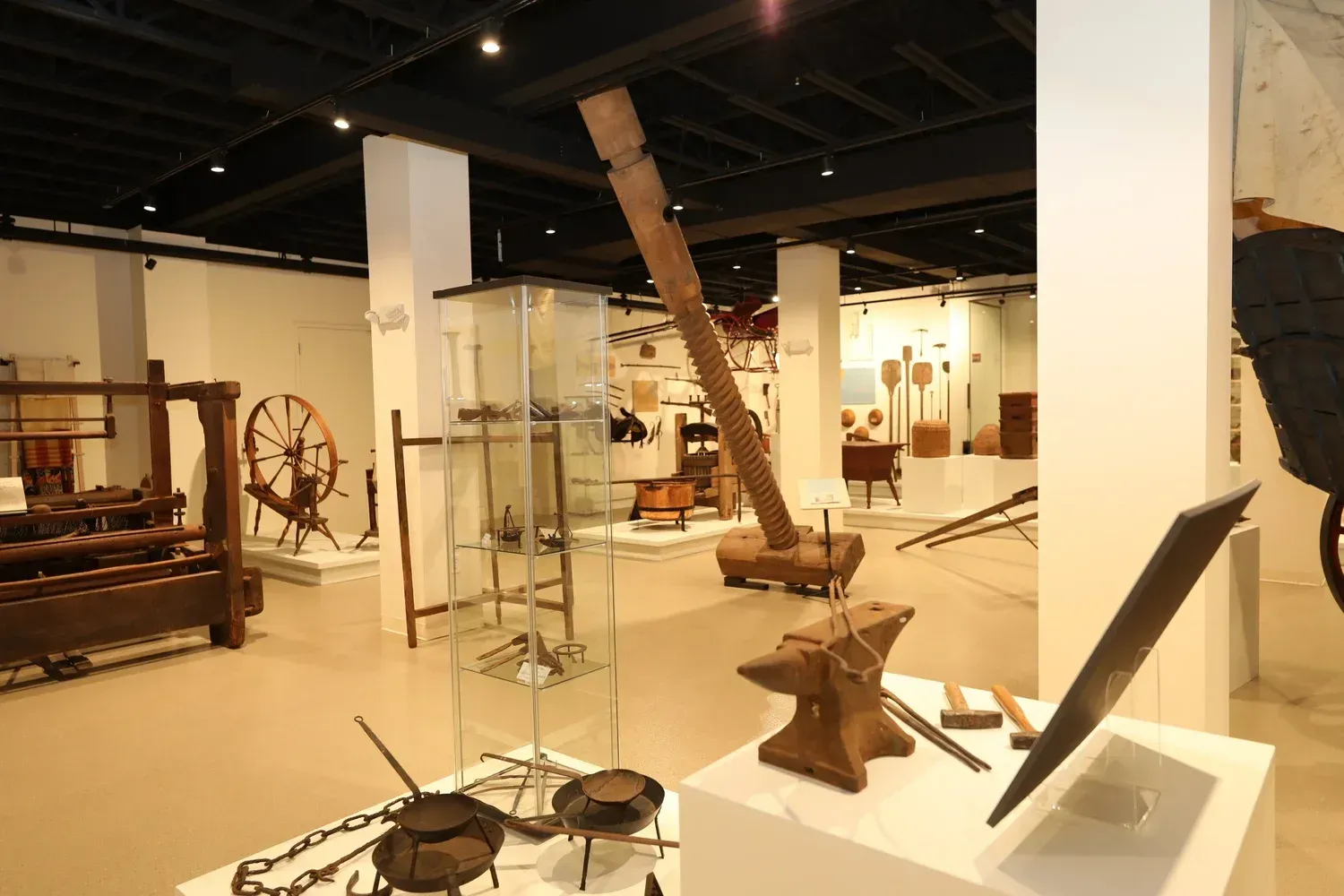 Museum gallery with traditional musical instruments and artifacts displayed under warm lighting