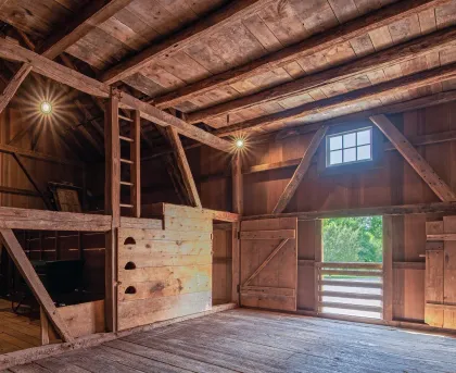 Rustic wooden barn interior with loft beams, plywood wall, and open door to greenery and steps outside