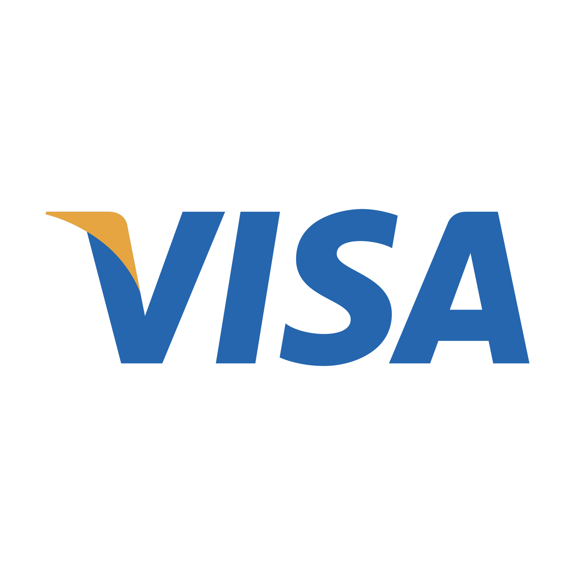Visa logo in blue with a gold accent on a white background